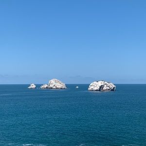 Meet your Posher, Felicia